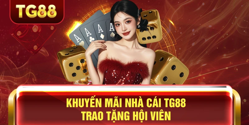 Khuyến mãi nhà cái tg88